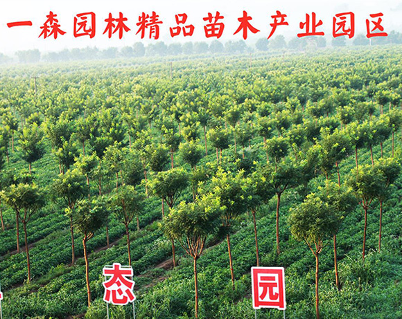 某市消防救援支隊(duì)裝備采購(gòu)項(xiàng)目